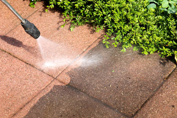 Best Fence Pressure Washing  in Elk Plain, WA